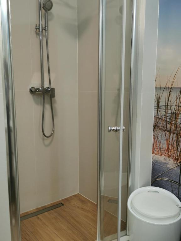 Apartamenty Zofia room 5